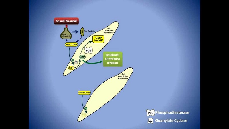 PDE5 inhibitors