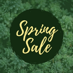 SPRING SALE